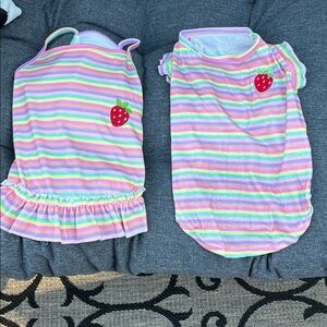 Striped Dog Dresses with Strawberry Patch